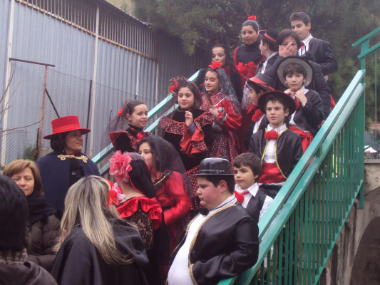 Carnevale 2013 a Cetraro (12)