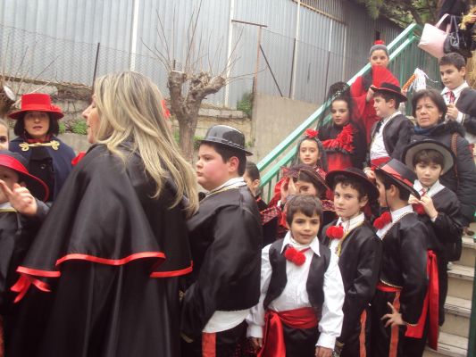 Carnevale 2013 a Cetraro (14)