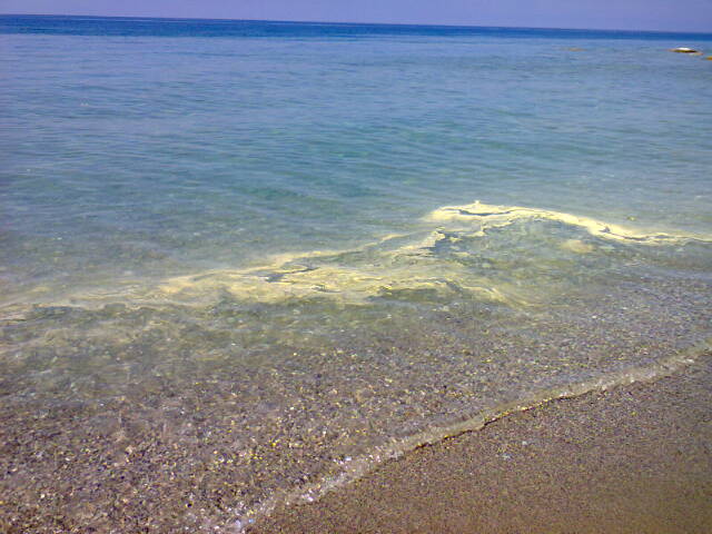 Spiaggia (3)