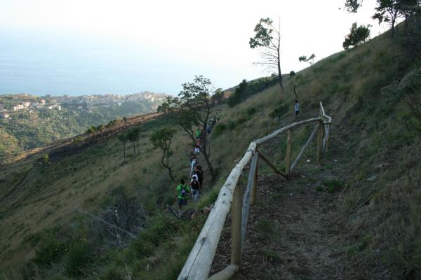 Monte Serra (8)
